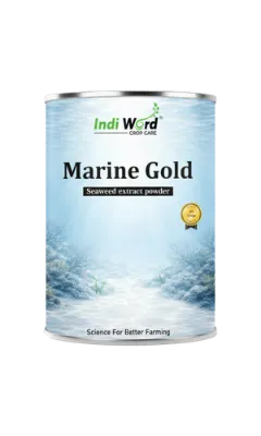 MARINE GOLD